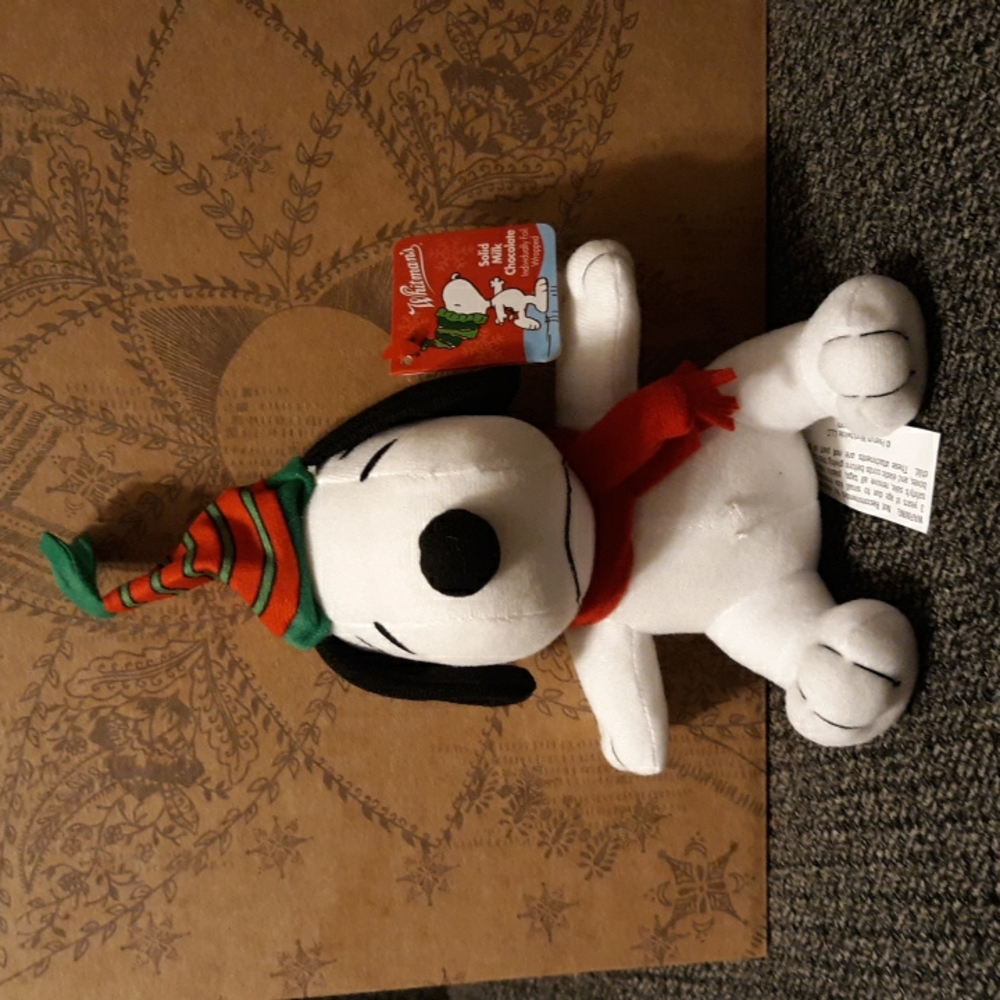 ⏰️💥Snoopy stuffed animal